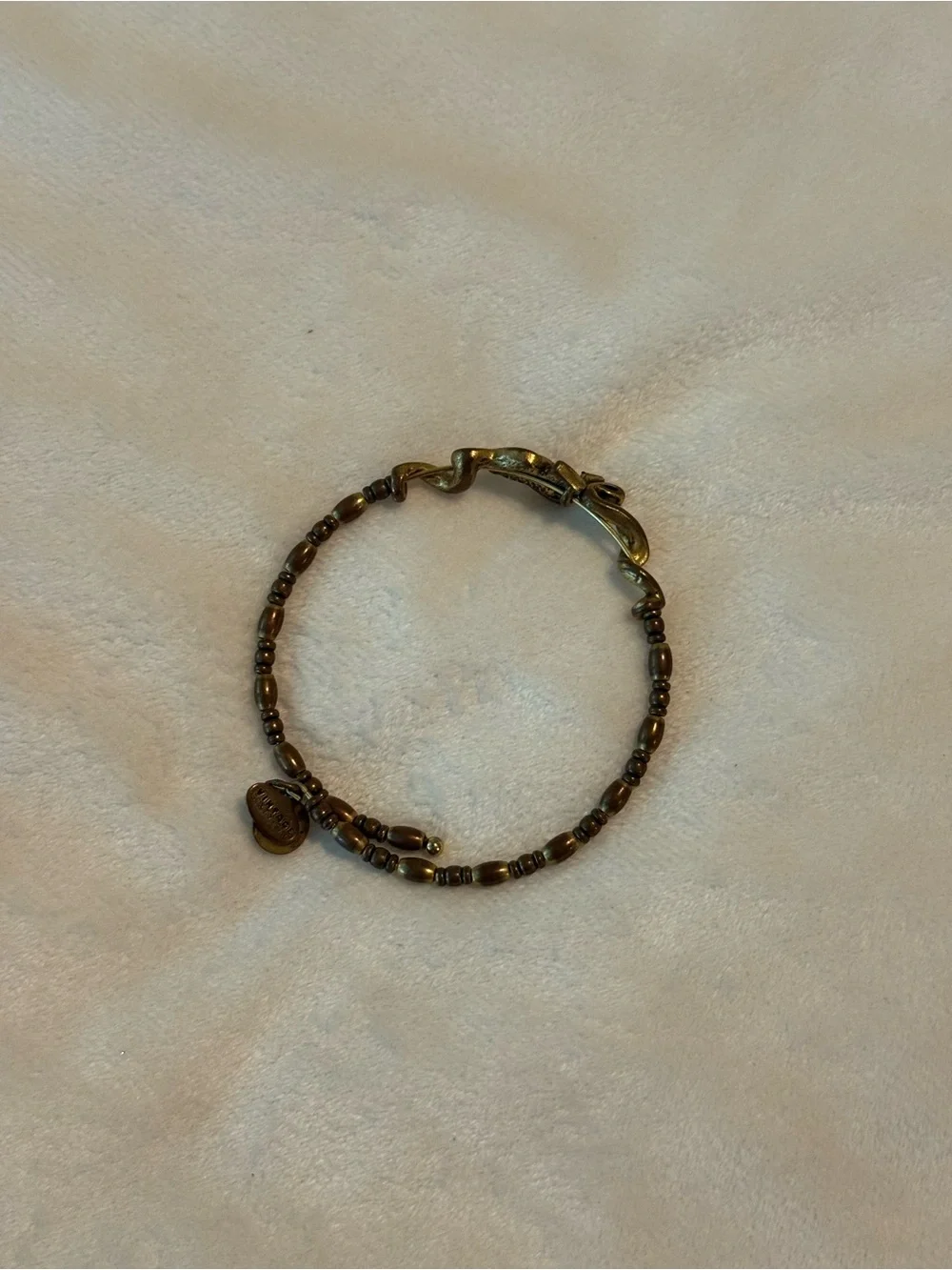 Alex and Ani carry little